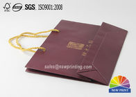 Delicate Pantone Color Cotton Handle Silver Stamping Paper Bag